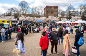 オハイオ州アクロンで桜祭り