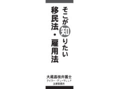 145 新しいH-1B抽選登録方法